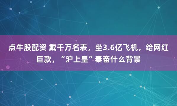 点牛股配资 戴千万名表，坐3.6亿飞机，给网红巨款，“沪上皇”秦奋什么背景