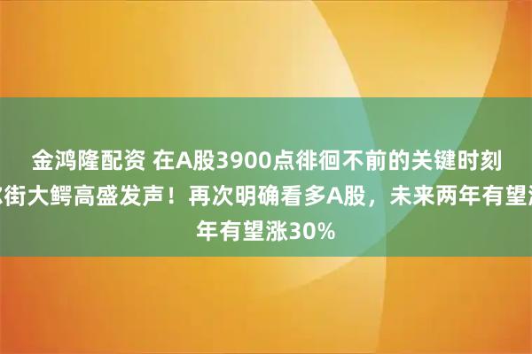 金鸿隆配资 在A股3900点徘徊不前的关键时刻，华尔街大鳄高盛发声！再次明确看多A股，未来两年有望涨30%