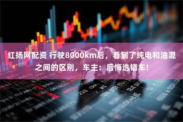 红扬网配资 行驶8000km后，看到了纯电和油混之间的区别，车主：后悔选错车!