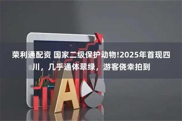 荣利通配资 国家二级保护动物!2025年首现四川，几乎通体翠绿，游客侥幸拍到